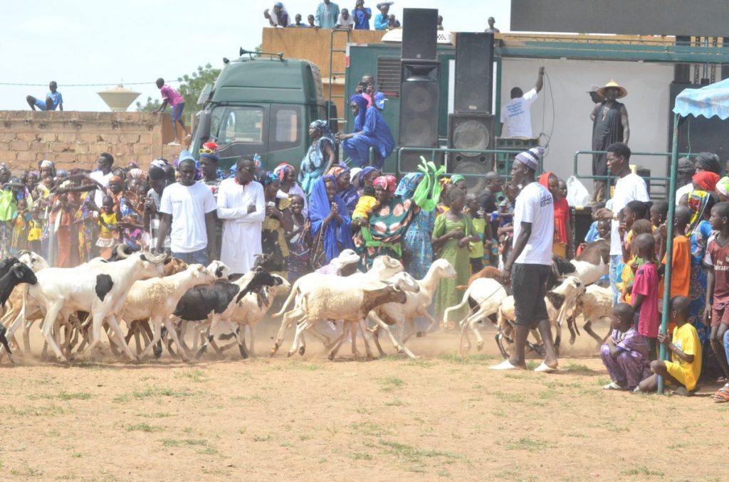 Culture – Parade de Moutons lors de la journée culturelle des élèves et étudiants de Goudoudé