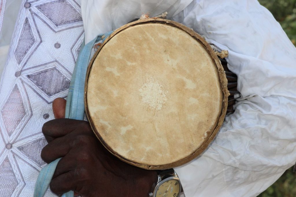 Vidéo – Cérémonie de Fouré des Wambabés lors de l’intronisation des Ardo au Djolof